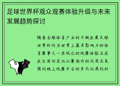 足球世界杯观众观赛体验升级与未来发展趋势探讨